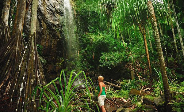 Valee-De-Mai-&-Anse-Lazio-seychelles-summer-rain-tours