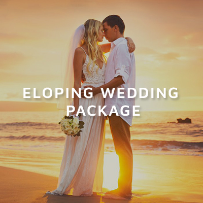 eloping-wedding-package-seychelles-summer-rain-tours