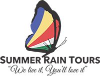 Summer Rain Tours
