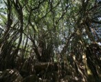 Aride Island Excursion praslin seychelles summer rain tours