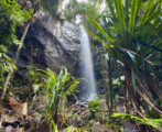 Valee De Mai & Anse Lazio seychelles summer rain tours