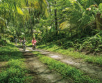 four-season-desroches-seychelles-summer-rain-tours